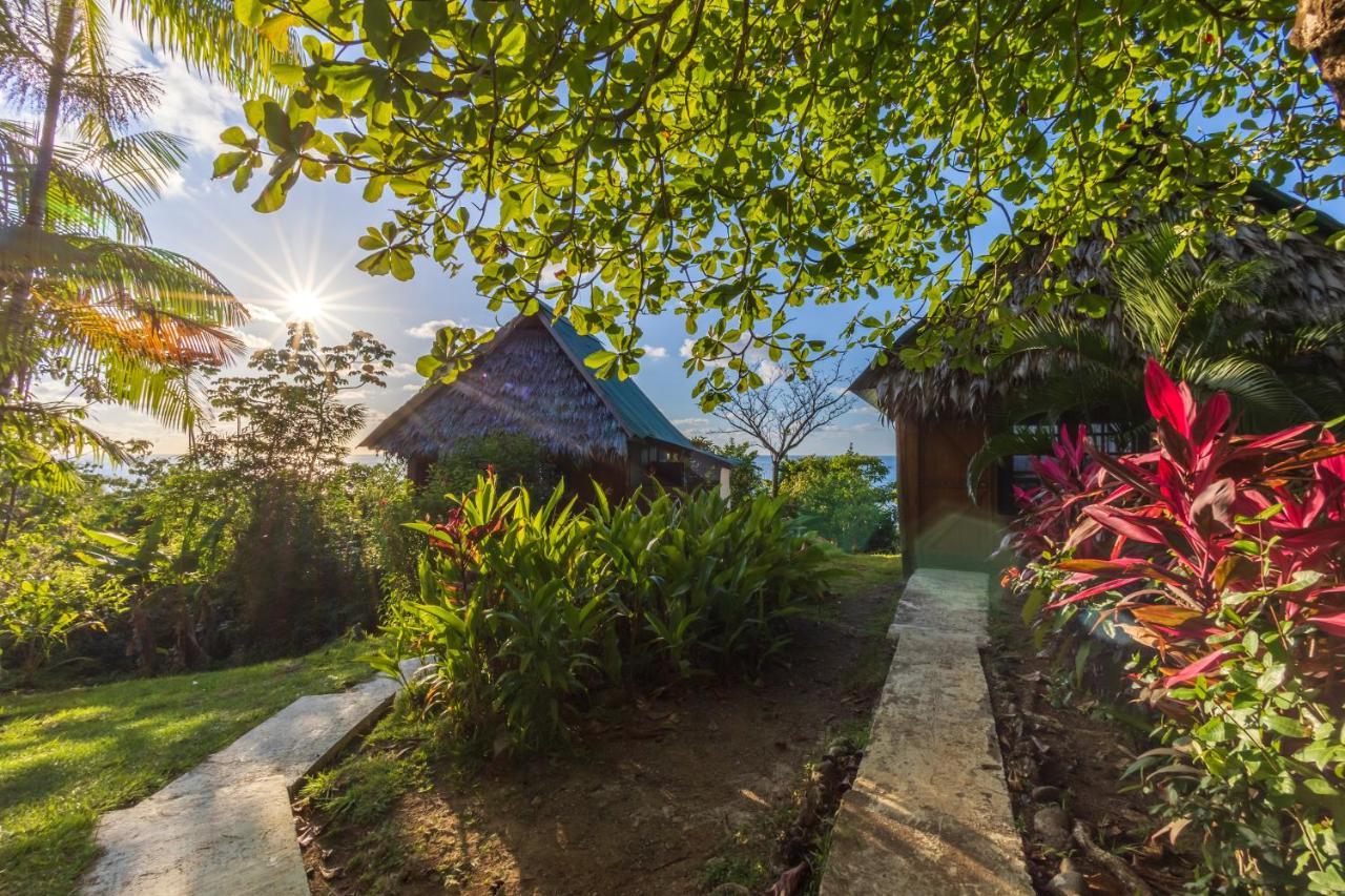 Punta Marenco Lodge Drakes Bay المظهر الخارجي الصورة